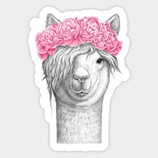 Lama with pions Sticker